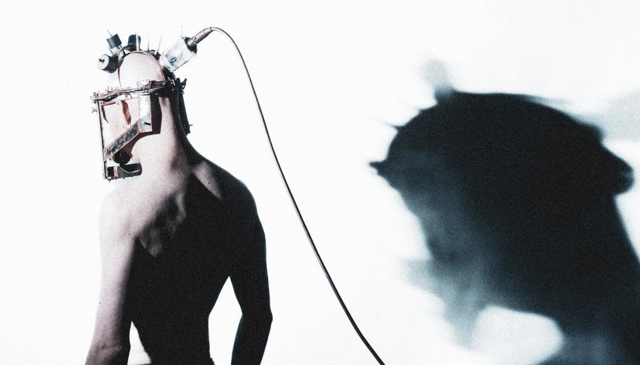 The Curst Catalog: New Music (October 4, 2024)