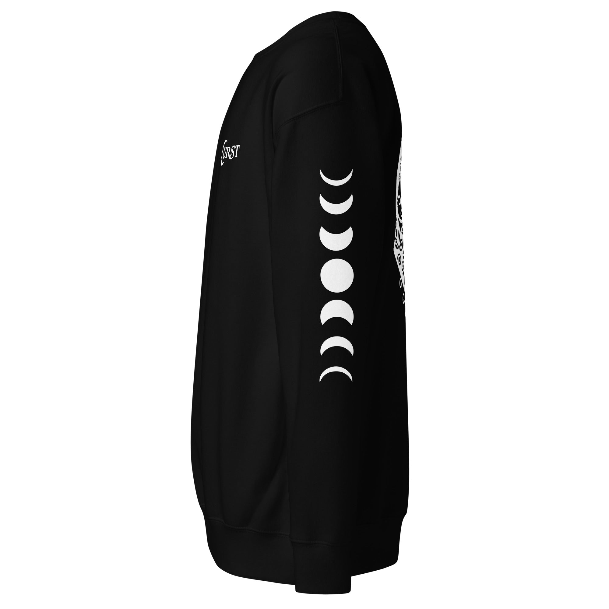 Spider Moon Sweatshirt