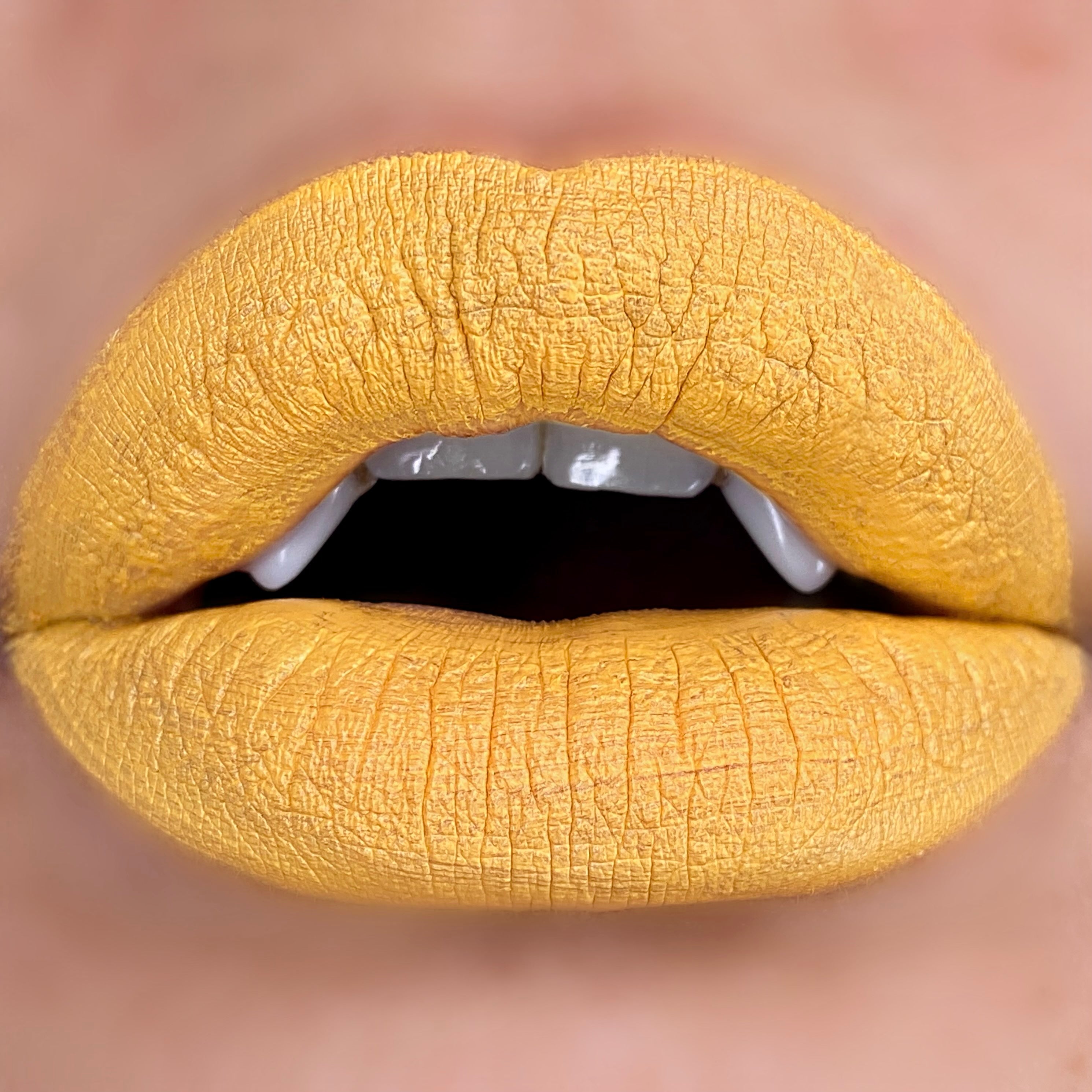 Matte Lip Potion - Revenge
